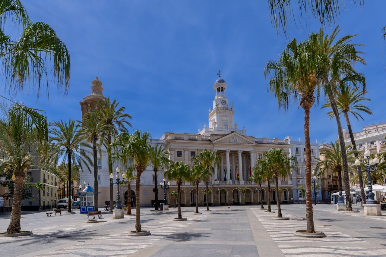 services-01 Elegant view of the Cádiz City Hall with palm trees under a clear blue sky, perfect for travel imagery.